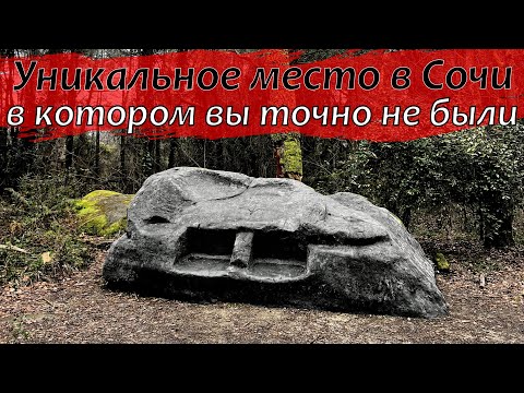 Видео: Кудепстинский лесопарк