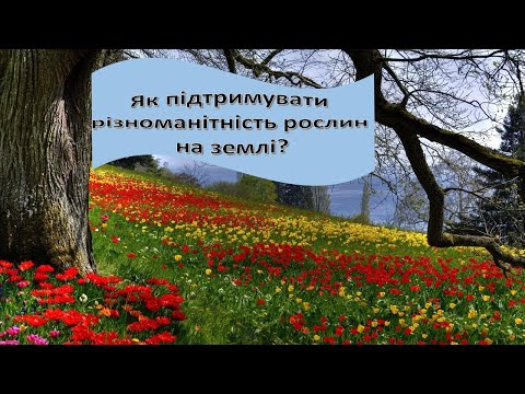 Видео: Урок 59. "Як підтримувати різноманітність рослин на землі?" Я досліджую світ 3 клас
