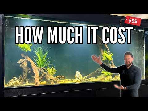 Видео: Аквариум из 500 галлонов фанеры готов! Но стоило ли оно того?