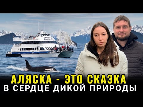 Видео: Невероятная АЛЯСКА! Круиз по ледникам Кенай Фьордс: айсберги, киты и настоящая дикая природа!