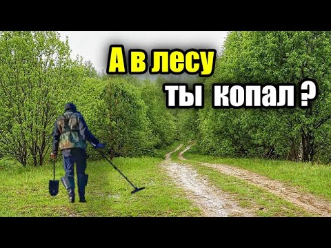 Видео: Подлинные результаты лесного копа! MD Simplex plus.