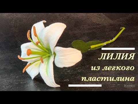 Видео: Как сделать лилию, как НАСТОЯЩУЮ?!  Лепка из легкого пластилина!