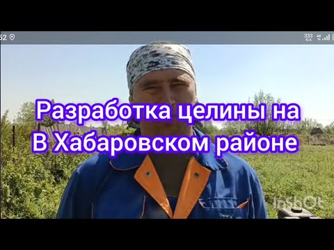 Видео: разработка целины в Хабаровском районе.