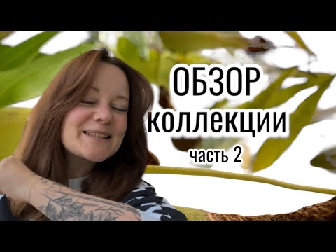 Видео: Обзор моей коллекции растений 2023. Часть 2: plant-room, тепличка, алоказии, антуриумы, и ……;)