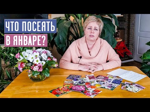 Видео: НАСТУПИЛ ПОСАДОЧНЫЙ СЕЗОН!!! ЧТО ПОСЕЯТЬ В ЯНВАРЕ? / Садовый гид садовый гид