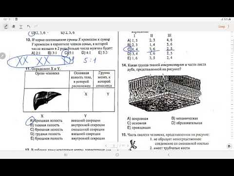 Видео: Вступительный экзамен/ДИМ/Биология/ 4 группа/5.06.2022/.
