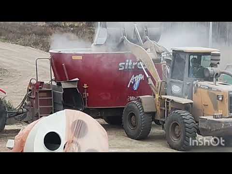 Видео: Утреннее кормление животных