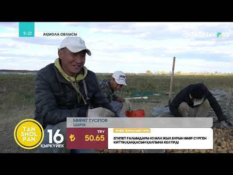 Видео: КАРТОПТЫ ҚАШАН ЖӘНЕ ҚАЛАЙ ЕГУ КЕРЕК?