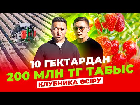 Видео: Жылына 5 рет өнім алатын Туркиядан келген Технология. Инвестор керек! Құлпынай өсіру технологиясы.