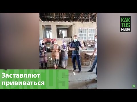 Видео: В селе Александровка заставляют прививаться работников рынка