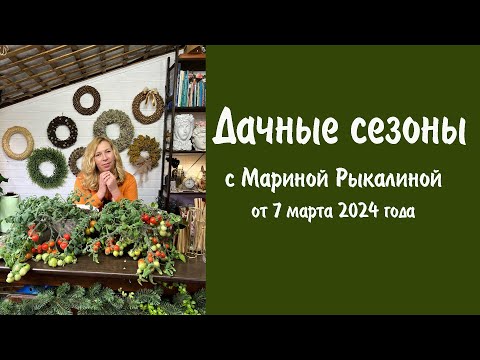Видео: Дачные сезоны с Мариной Рыкалиной от 7 марта 2024 года