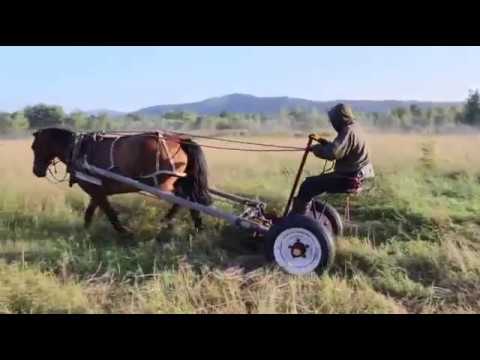 Видео: Косим раскосим