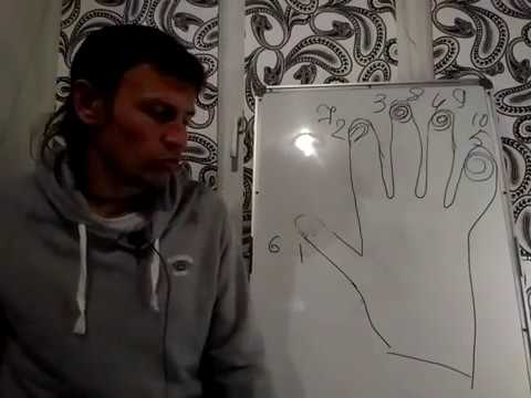 Видео: Папилярный узор - профориентация.