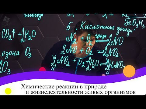 Видео: Химические реакции в природе и жизнедеятельности живых организмов. 8 класс.