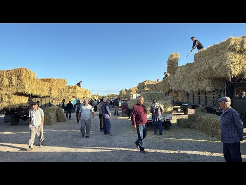 Видео: ХОРАЗМ ХАЗАРАСП ЕМ ХАШАК ЯНГИ НАРХЛАРИ 14-сентябрь2025