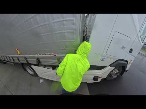 Видео: Рабочие будни парного экипажа в Бельгии. Погода 🐓.