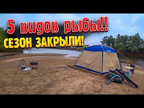 Видео: КЛËВ ВСЮ НОЧЬ НЕ ДАВАЛ СПАТЬ! Рыбалка на АХТУБЕ с ночёвкой. Рыбалка на амура сазана карася.