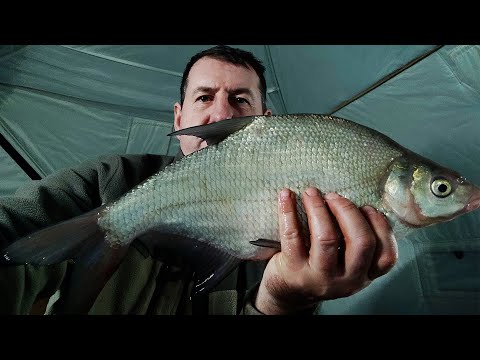 Видео: КЛЁВ КРУПНОГО ЛЕЩА! Трудовая рыбалка на Волге!