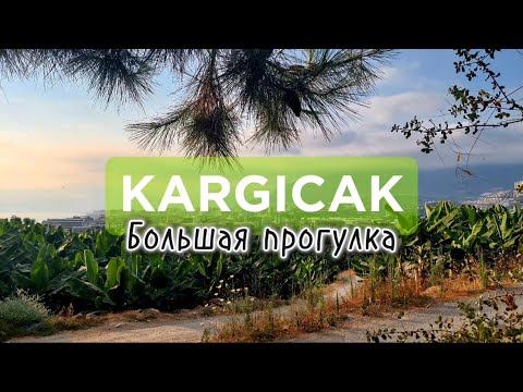 Видео: Каргыджак. Всё только начинается? #каргыджак #обзоргорода #честно #влог #переездвтурцию #аланья2025