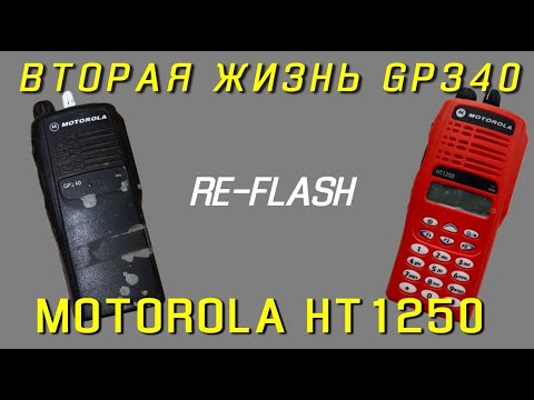 Видео: Вторая жизнь Motorola GP340 или перефлеш в HT1250