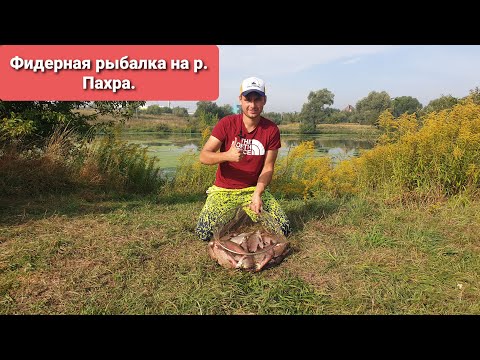 Видео: Ночная рыбалка на фидер на р. Пахра. Отличный клёв, шикарный улов.