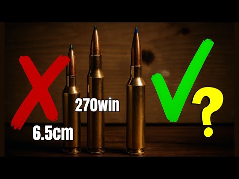 Видео: НОВЫЙ патрон короткого действия ЗАСТАВЛЯЕТ 270 Winchester ДЫМИТЬ!!!