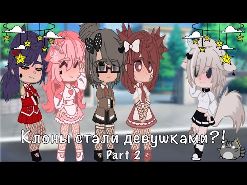 Видео: ✨『Короли стали девушками?!』✨ //13 карт\\  🍺 "Part 2" 🍺 #13карт 🐾 #гачаклуб 🍀 #мояАУ 🌸 #love :)