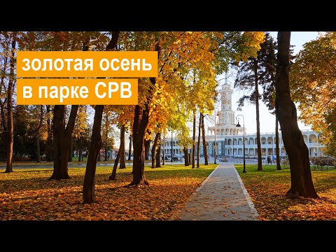 Видео: Прогулка по осеннему парку и причалам Северного речного вокзала