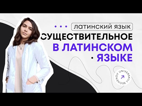 Видео: Существительное в латинском языке