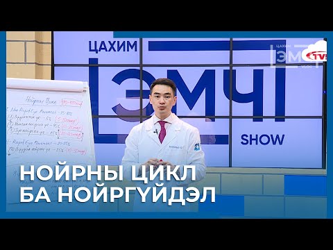 Видео: 219 - Нойрны цикл ба Нойргүйдэл