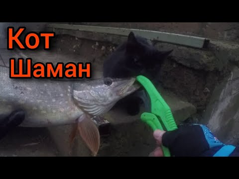 Видео: МИСТИЧЕСКАЯ РЫБАЛКА или ДЕЖАВЮ.ЛОВЛЯ ЩУКИ в ОКТЯБРЕ.