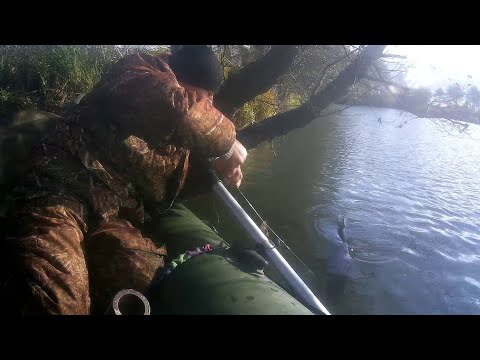 Видео: Осень в Беларуси Погода меняется каждый час. Сумасшедший клёв хищника. Рыбалка на кружки. Выпуск 147