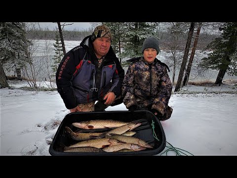 Видео: НАШ ПЕРВЫЙ ЛЁД 24-25! ЗИМНЯЯ РЫБАЛКА ОТКРЫТА, ЧЕМПИОНЫ ЛОВИЛИ ЩУКУ В НОВЫХ И СТАРЫХ МЕСТАХ ЯМАЛА!!!