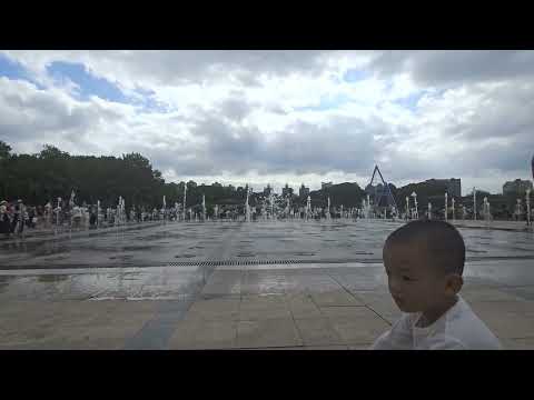 Видео: 11 ноября 2025 г.