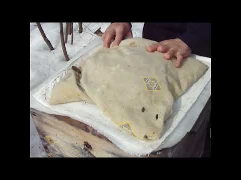 Видео: Первые весенние работы Ставлю кормушки Даю подкормку