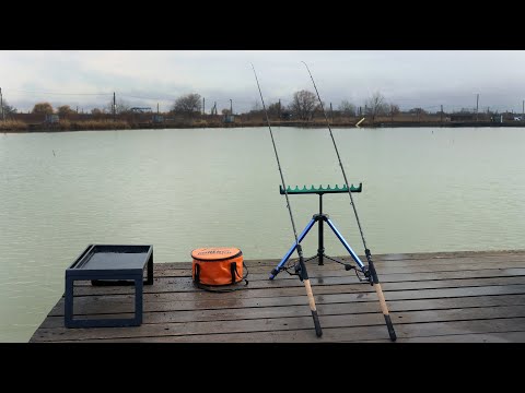 Видео: ТУТ МНОГО САЗАНА, рыбалка на фидерную снасть, хороший клёв рыбы зимой 2023