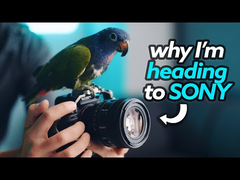 Видео: Sony A9 iii: НАМНОГО лучше, чем мы думали!