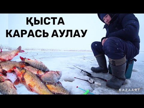 Видео: Қыста карась аулауға бола ма? Қалай аулайды? Рыбалка карась  Ерейментау