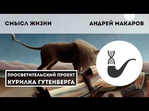 Видео: Смысл жизни – Андрей Макаров