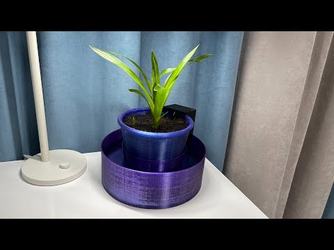 Видео: 🍏IPOT ТАКОГО АВТОПОЛИВА ВЫ ЕЩЕ НЕ ВИДЕЛИ🔝 ГОРШОК НОВОГО ПОКОЛЕНИЯ КАЖДЫЙ СМОЖЕТ ПОВТОРИТЬ DIY POT