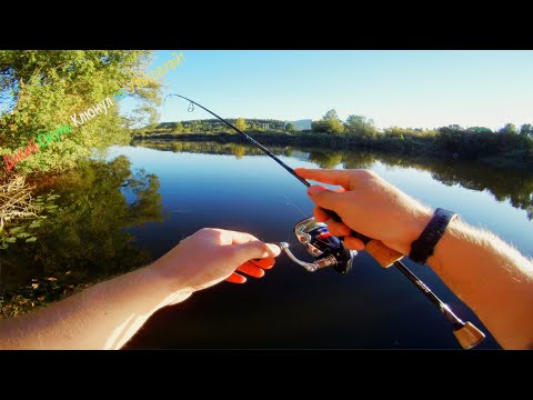 Видео: Рыбалка на Северском Донце Dayo Amulet