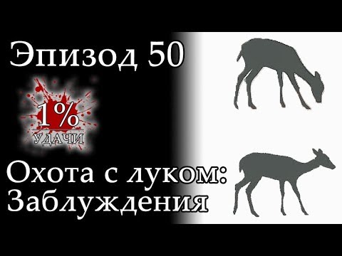Видео: 1% УДАЧИ. Эпизод 050: Охота с луком - Заблуждения и мифы