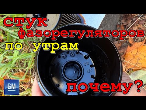 Видео: Почему стучат фазорегуляторы после длительного простоя автомобиля? Мойка деталей двигателя