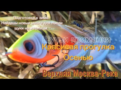 Видео: Ловля Щуки. Подготовка к зиме. Верхняя Москва- Река. #2024 #fishing #рыбалка #выходные #отдых #щука