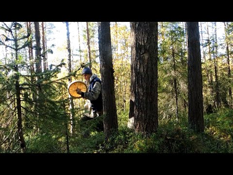 Видео: Опять - в поисках шамана.(история)