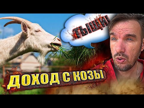 Видео: Какой доход от козы, или вся правда о козах.