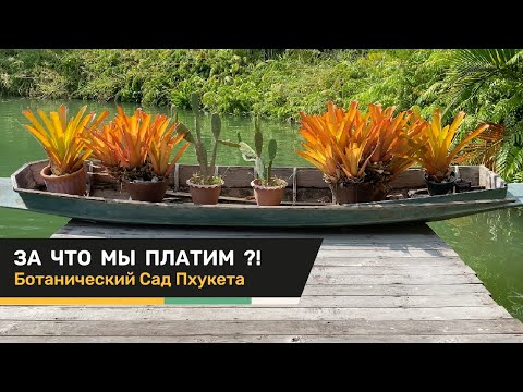 Видео: Ботанический сад Пхукета | GardenBoom