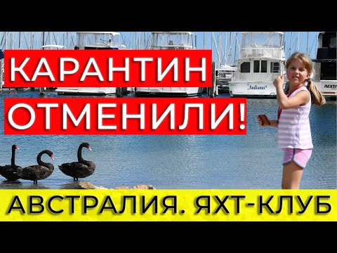 Видео: Яхт-клуб в Австралии вышел из карантина. Черные лебеди в марине с Travely Family