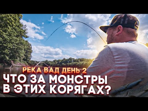 Видео: РЫБАЛКА НА РЕКЕ ВАД. НА ЧТО КЛЮЕТ ХИЩНИК В ЖАРУ?