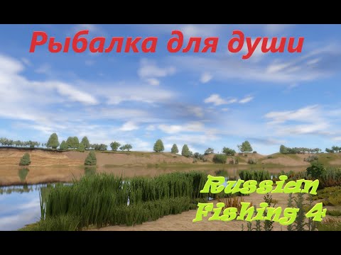 Видео: РР4✨Рыбалка для души.✨